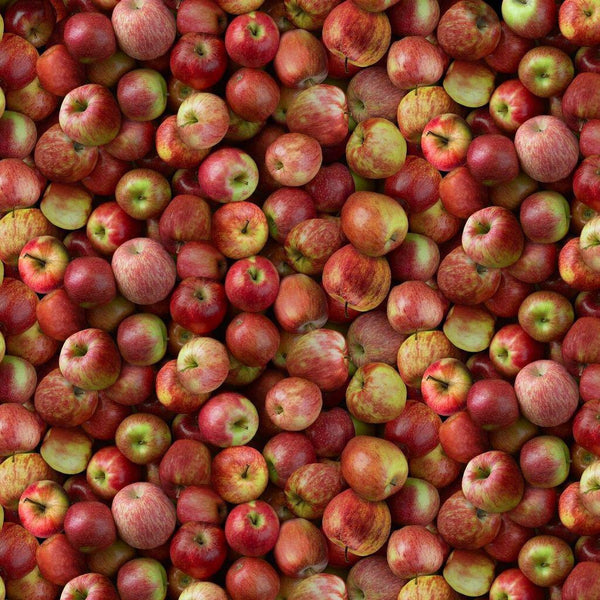 Timeless Treasures FRUIT-CD2942 / RED / PACKED APPLES - Sewjersey.com