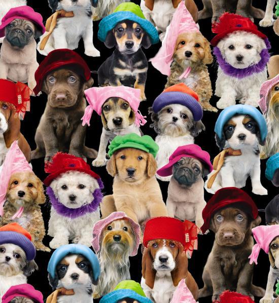 Elizabeths Studio Adorable Pets 3801BLACK