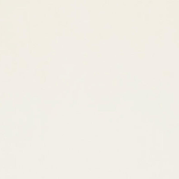 Shannon Fabrics Cuddle Ivory 58/60" - C3IVORY