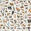 Pattern of various animals on a white background with a ruler at the bottom.