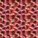 Apple Orchard Collection-Red Delicious-100% Cotton-Red-21231104-01 - Sewjersey.com