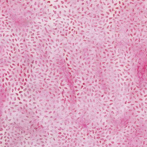 122260105 - Island Batik "Sunshine Garden" Seeds - Pink Carnation