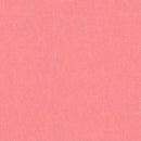 Robert Kaufman Brussels Washer Linen Blend Nectar