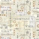 Timeless Treasures - Star Spangled by Gail Cadden - USA Bill of Rights - GAIL-CD2221 - Sewjersey.com