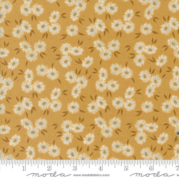 Moda Seaglass Summer Sunshine 43181 18