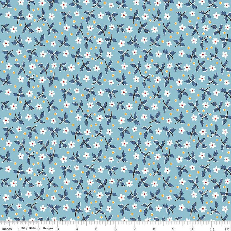 Riley Blake Designs Prairie by Lori Holt - Dress Dream - C12300-DREAM