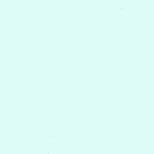 Michael Miller Cotton Couture SC5333-AIRX-D