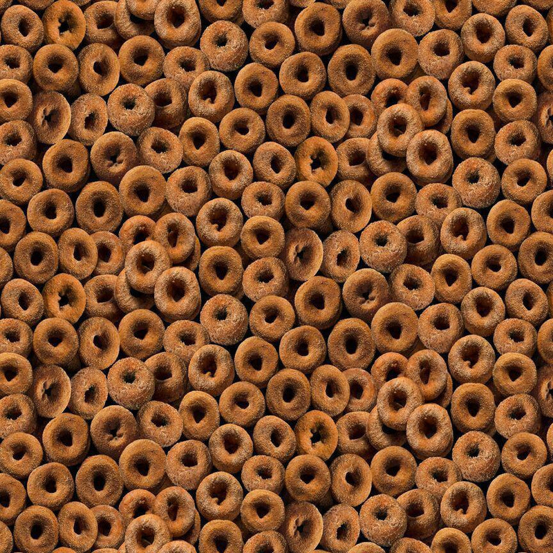 Timeless Treasures FOOD-CD2941 / DONUT / PACKED GINGERBREAD DONUTS - Sewjersey.com
