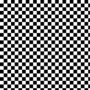 Blank Quilting - Paradox - Checkerboard - 1781 01 - Sewjersey.com