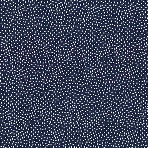 Michael Miller Garden Pindot CX1065-INKX-D
