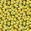 Paintbrush Studio Fabrics - Farmer John's Garden Party - Lemon - 12013321 - Sewjersey.com