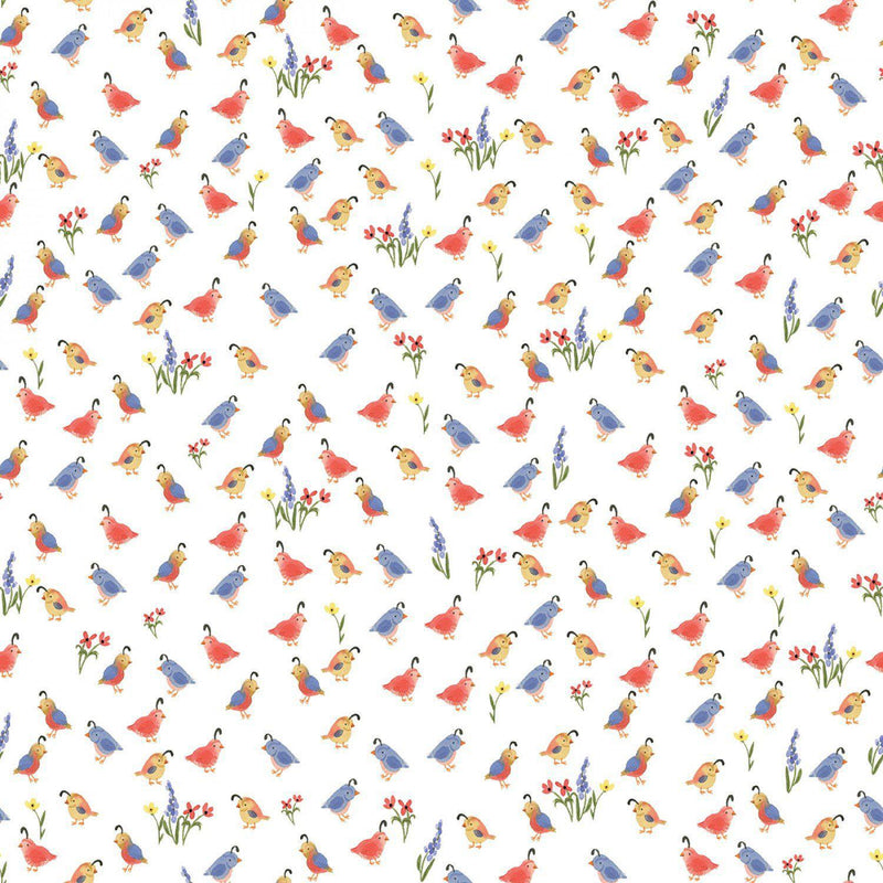 Riley Blake Designs Beautiful Day by Echo Park Paper Co.  - Quail White - C10691-WHITE