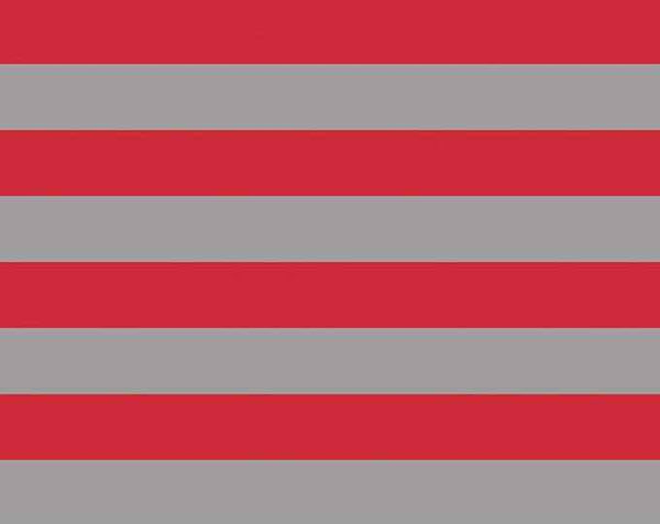 Riley Blake Designs 1 inch Red and Gray Stripe Jersey Knit Fabric - K540-133
