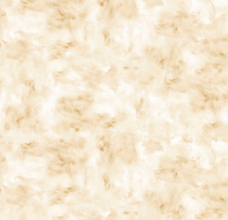 P & B Textiles Color Stories Ecru CSTW 5929 E 108" Wide 100% Cotton Fabric - Sewjersey.com