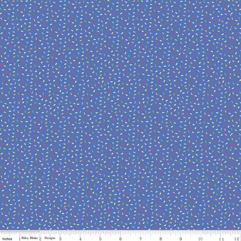 Riley Blake Designs Rainbow Fruit by Damask Love - Confetti - C10895-BLUE