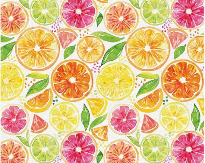 Paintbrush Studio Fabrics Sweet and Sour - Citrus - White - 12022610