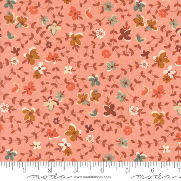 Acorn Hollow Apple 30761 15 Moda