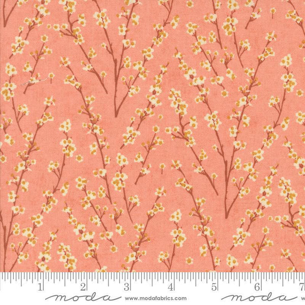 Acorn Hollow Apple 30765 17 Moda