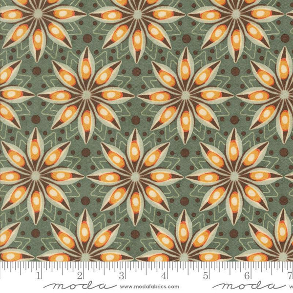 Acorn Hollow Eucalyptus 30762 19 Moda