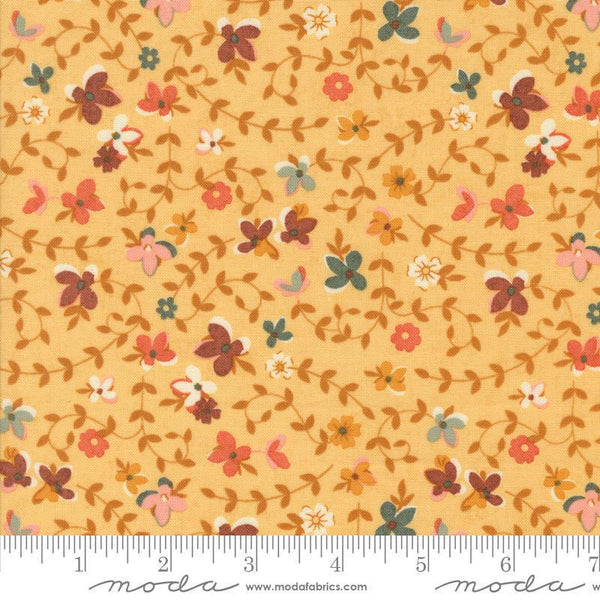 Acorn Hollow Maize 30761 12 Moda