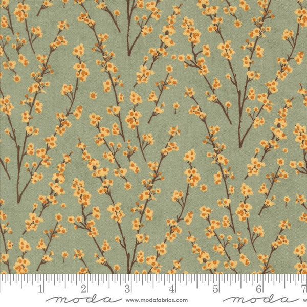 Acorn Hollow Sage 30765 18 Moda