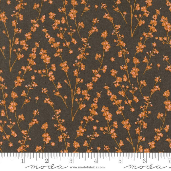 Acorn Hollow Soil 30765 12 Moda