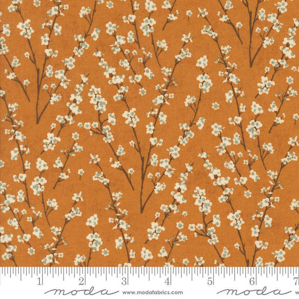 Acorn Hollow Yam 30765 16 Moda