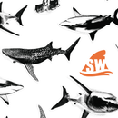 Camelot Fabrics Discovery Shark Week 23560106 01