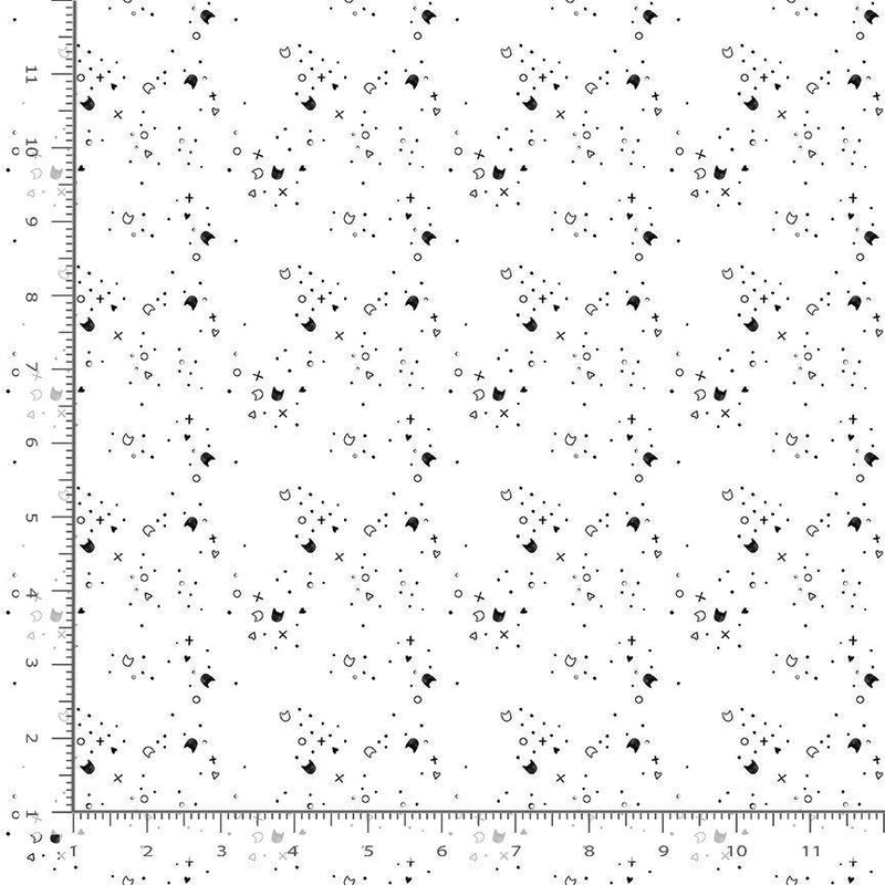 Dear Stella Kitty Litter Blender Coal STELLA-DPJ3000 COAL with ruler for scale