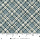 Plaid fabric pattern with a ruler for scale, featuring shades of blue and beige.