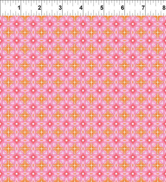 In the Beginning Dragon Friends Pink Geo 1 6DF-1