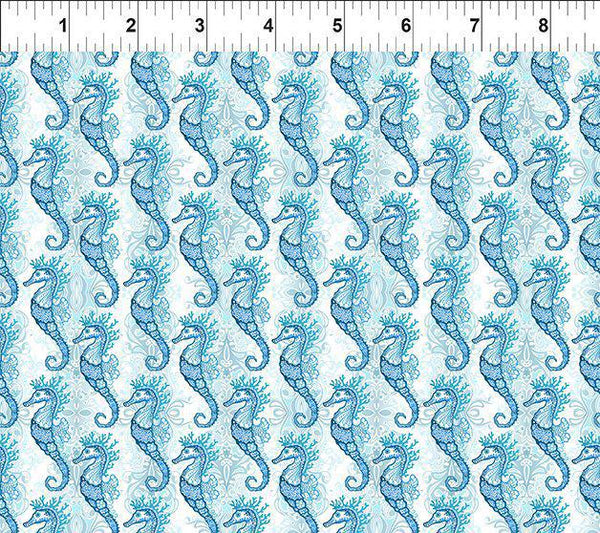 In the Beginning Wonders of the Ocean Seahorses 7WO-1 Seahorses