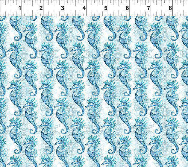 In the Beginning Wonders of the Ocean Seahorses 7WO-1 Seahorses