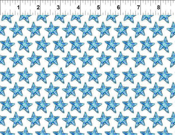 In the Beginning Wonders of the Ocean Starfish 8WO-1 Starfish