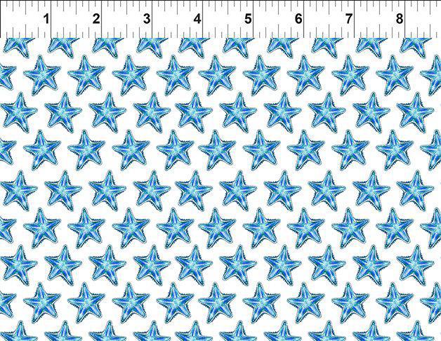 In the Beginning Wonders of the Ocean Starfish 8WO-1 Starfish