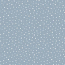 Pattern of small white dots on a blue background