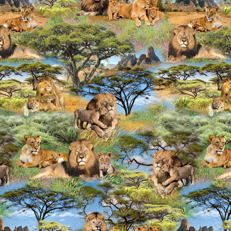 Michael Miller Serengeti Plains African Pride DCX11961-UMBE-D - sewjersey.com