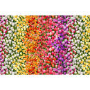 Michael Miller Spring in Delft Tulip Field Multi DCX12235-MULT-D - sewjersey.com