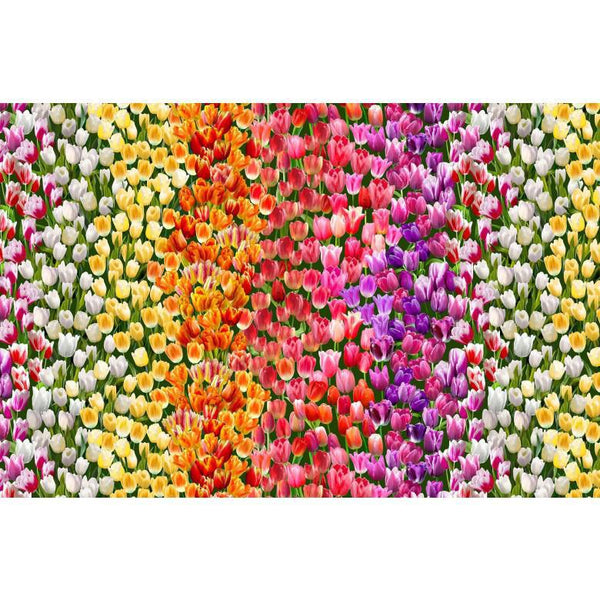 Michael Miller Spring in Delft Tulip Field Multi DCX12235-MULT-D - sewjersey.com