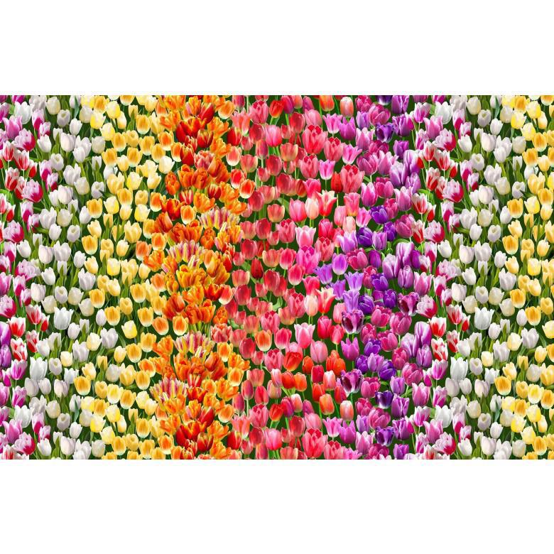 Michael Miller Spring in Delft Tulip Field Multi DCX12235-MULT-D - sewjersey.com