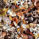 Close-up of a mix of small, colorful mushrooms