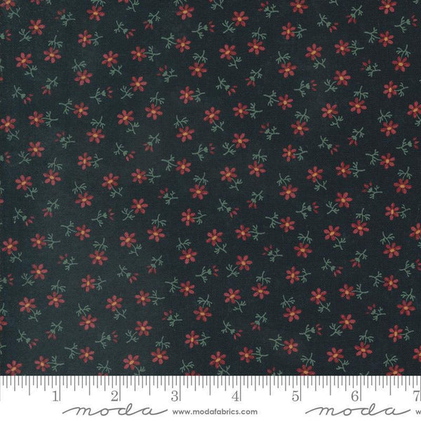 Moda Daisy Lane by Kansas Troubles Quilters Daisys Florals Mulch 9763 19 - sewjersey.com