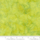Moda Echo Batiks Lime Swirl 4369 23 - sewjersey.com