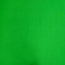 QT Fabrics Feather Flannel Kelly 9026-KELLY