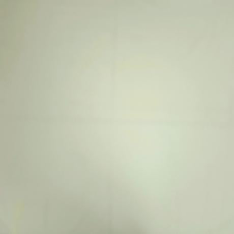 QT Fabrics Feather Flannel Natural 9026-NATUR