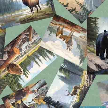 QT Fabrics On the Road Again Animal Postcards Seafoam by Morris Creative Group 30739-H - sewjersey.com