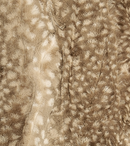 Shannon Fabrics Luxe Cuddle Fawn Cappuccino LCFAWN CAPPUCCINO - sewjersey.com