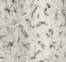 Shannon Fabrics Luxe Cuddle Snowy Owl Alloy - LCSNOWYOWL ALLOY - sewjersey.com
