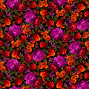 Studio e Midnight Floral 108" by Chelsea DesignWorks Black/Hot F8168-98 - sewjersey.com