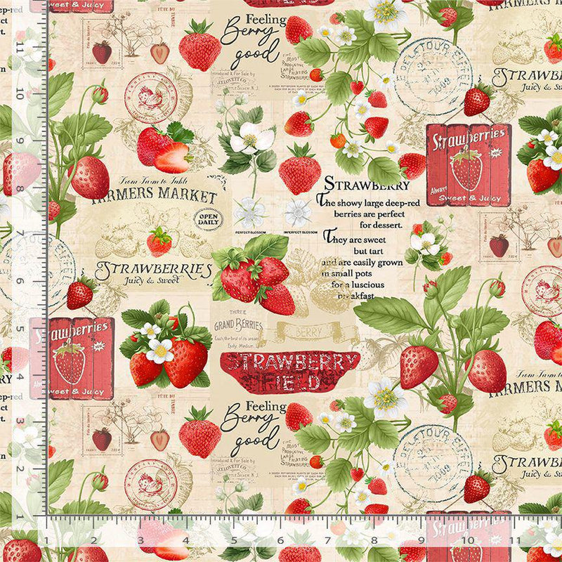 Timeless Treasures Berry Sweet Strawberries Market Collage Beige FRUIT-CD3400 BEIGE - sewjersey.com